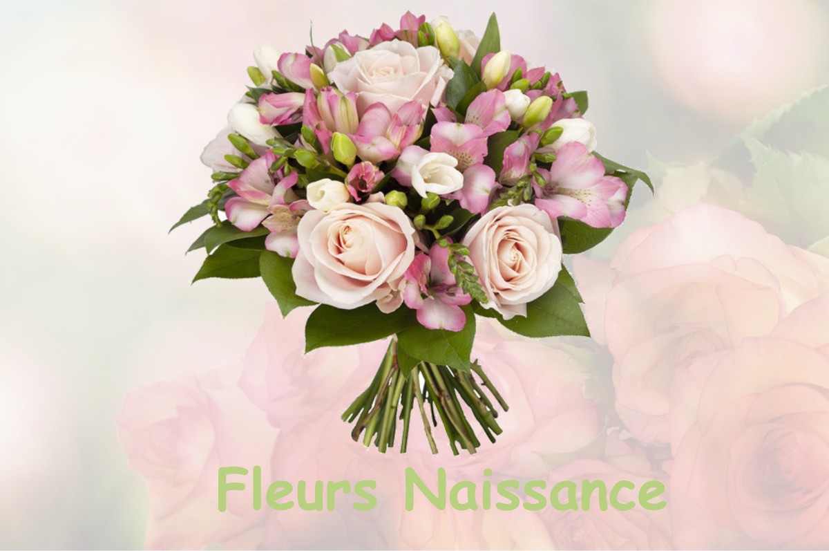 fleurs naissance CHANTEAU