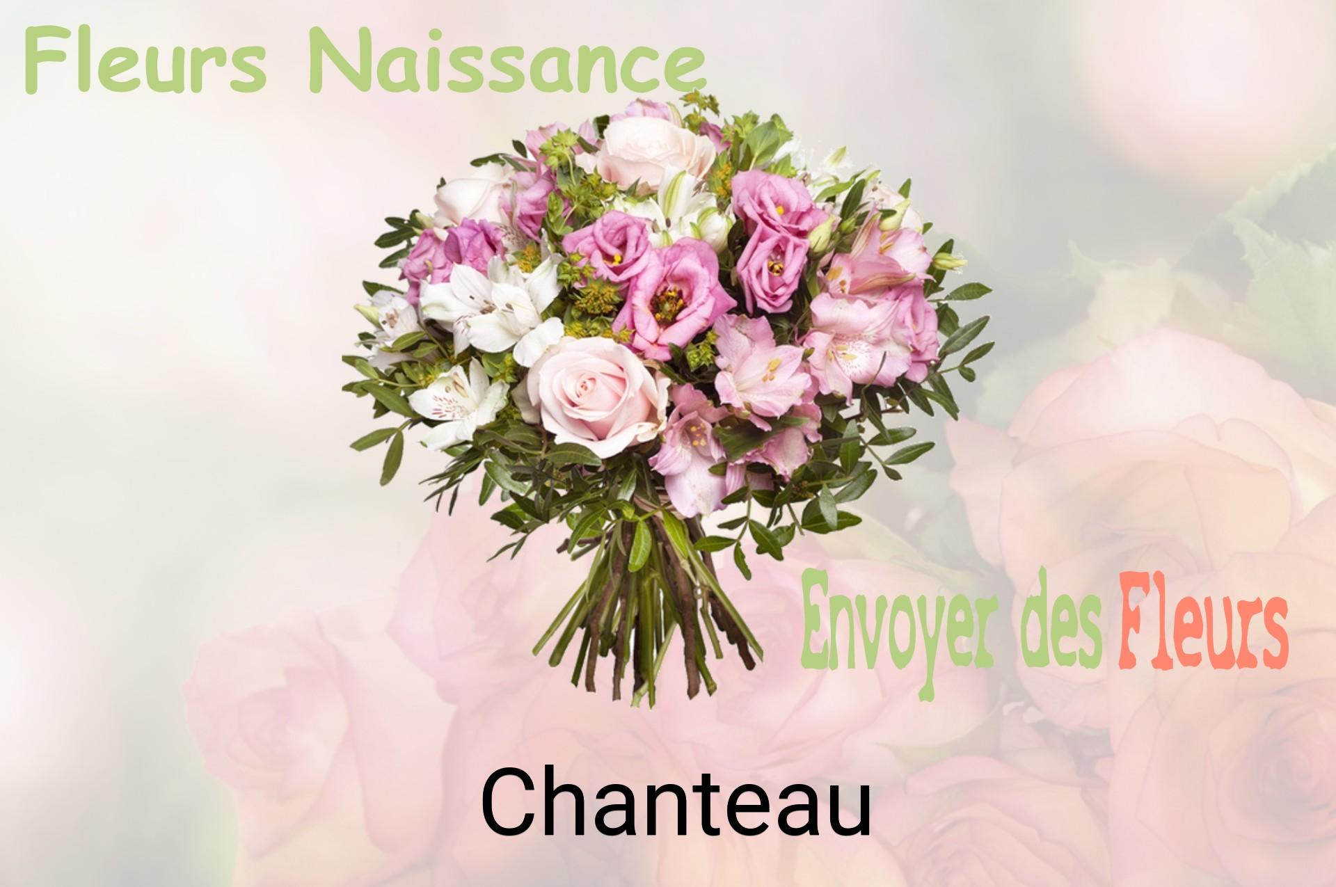 Bouquet de fleurs de naissance livré à Chanteau