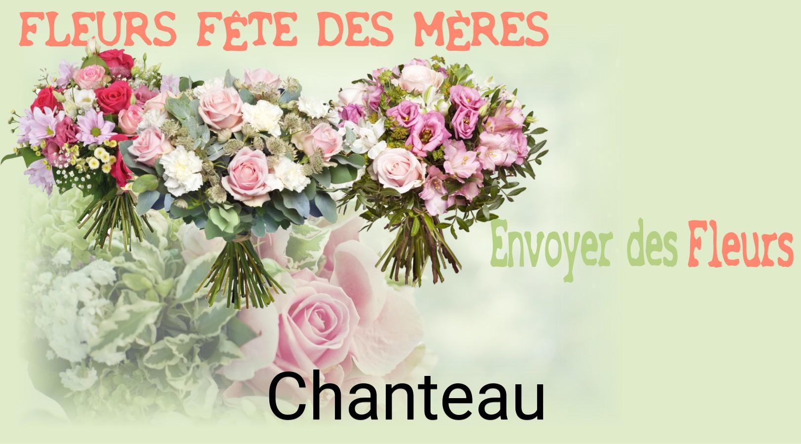 Bouquet de Fête des Mères livré à Chanteau