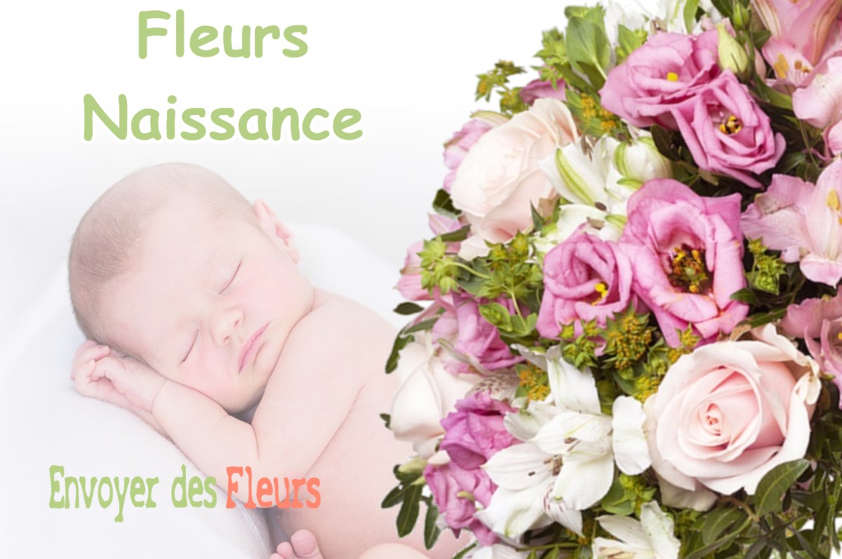 lIVRAISON FLEURS NAISSANCE à CHANTEAU